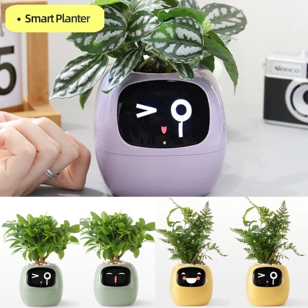 Facial Expression Controlled Smart Flowerpot